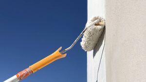 Councillor calls for old hotel to be painted ahead of Tidy Towns inspection