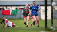  All-Ireland heartache as Mayo suffer the Breffni blues