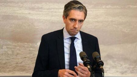 Harris' 100 days as Taoiseach: Huge energy, migration challenge, and big election decision