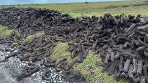 'Truly awful act' - Sligo club warn public to be vigilant of turf thief