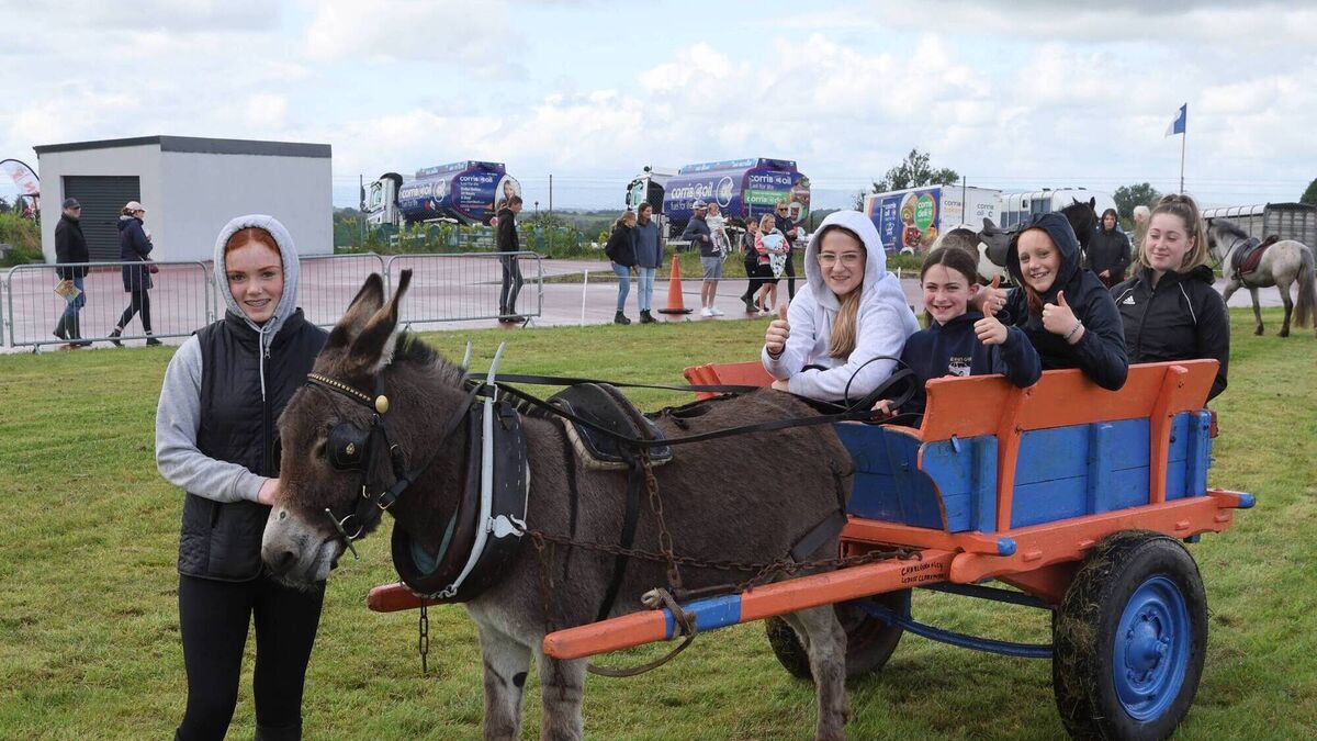 Long-lost era of the donkey and cart