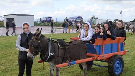Long-lost era of the donkey and cart