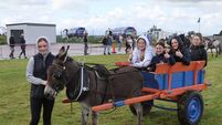 Long-lost era of the donkey and cart