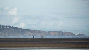 Swimmers advised to avoid 17 beaches due to poor water quality Swimmers advised to avoid 17 beaches due to poor water quality