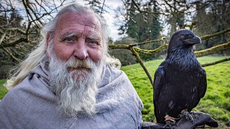 Ravens carry myths and legends on their wings