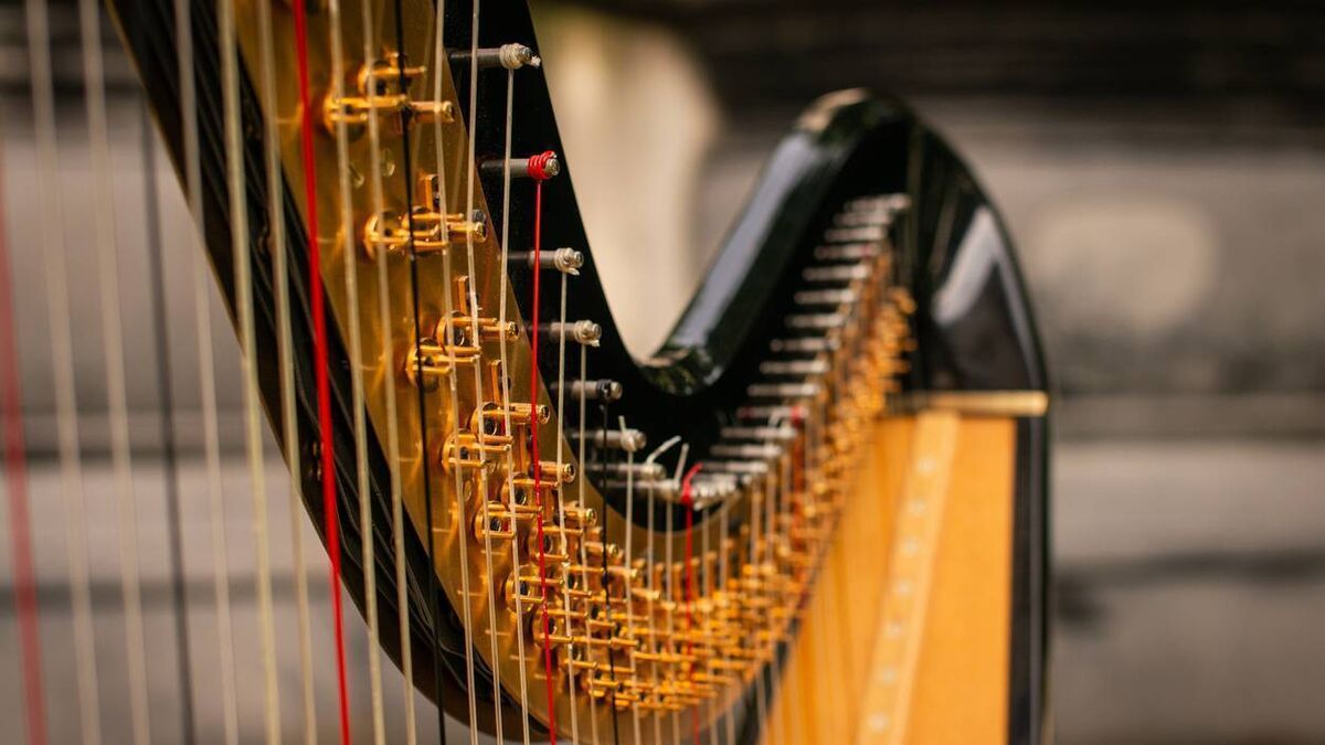 Talented Ballina musician through to All-Ireland Fleadh