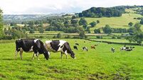102 acres of Sligo farmland sells for €1.12m