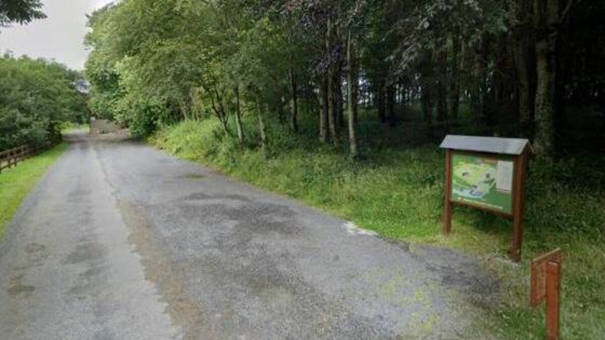 Mayo woodlands project goes to tender