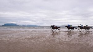 Geesala Festival to mark 30th birthday in style Geesala Festival to mark 30th birthday in style