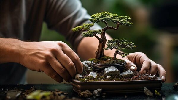 Leon Gagne became best known for his expertise in Bonsai, the art of cultivating and managing miniature trees. Leon Gagne became best known for his expertise in Bonsai, the art of cultivating and managing miniature trees.