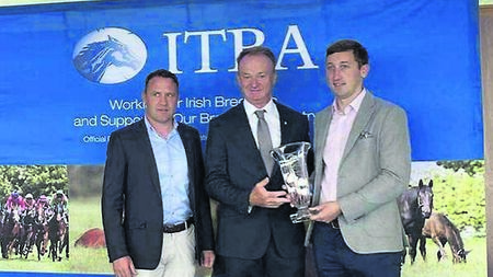Winner alright: Mayo racecourse manager receives prestigious award
