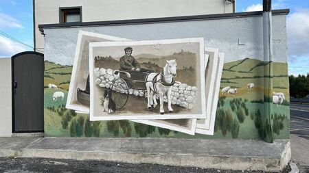 'Amazing' mural on display in Mayo town