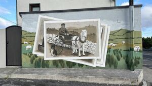 'Amazing' mural on display in Mayo town