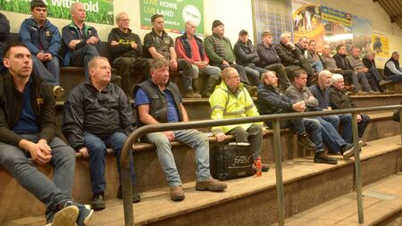 IFA concern over decline in suckler cows