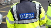 Appeal for witnesses after Mayo pedestrian struck by car