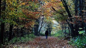 'Beloved Belleek' to be enhanced following funding annoucement