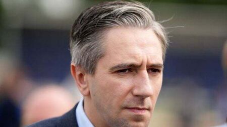 Ireland not immune from terror threat, warns Harris