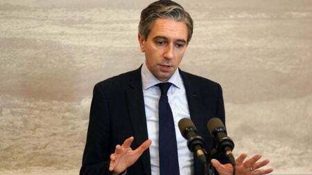 World will reflect on Gaza conflict as ‘time of dark shame’ – Taoiseach