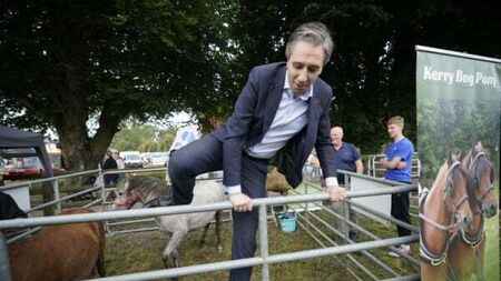 ‘Offensive’ to call active farmers land hoarders, Taoiseach says