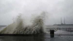 Yellow wind warning issued for 11 counties