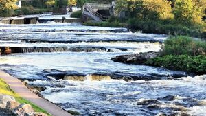 River system at centre of mysterious salmon deaths re-opens to angling River system at centre of mysterious salmon deaths re-opens to angling