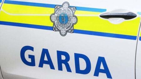 Gardaí investigate suspected petrol bomb attack on house in Cork
