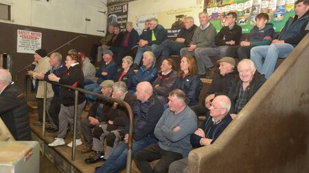 Farmers are now facing many challenges