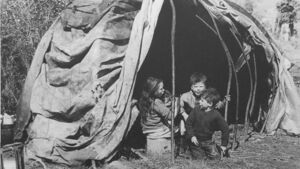 Travelling People have deep roots in Ireland Travelling People have deep roots in Ireland