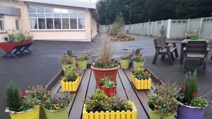 Areas of concern identified at Mayo mental health unit