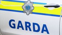 Two injured, one arrested after separate disturbances at same Dublin property