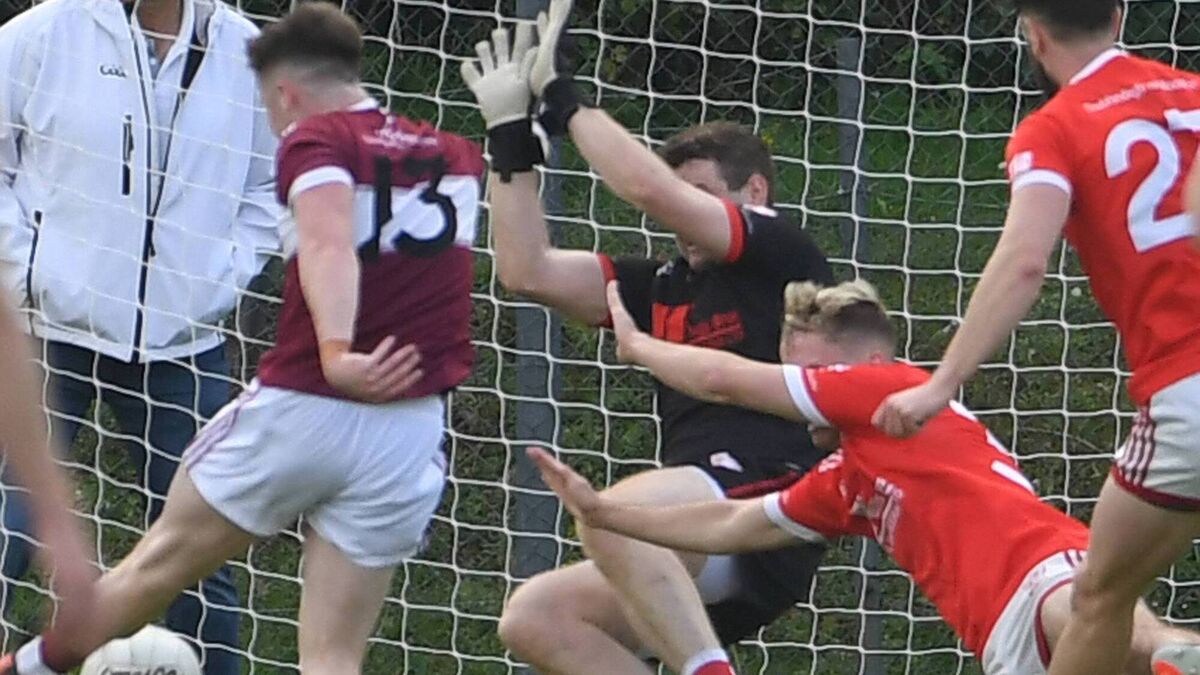 Deel swamped by rising Moy tide