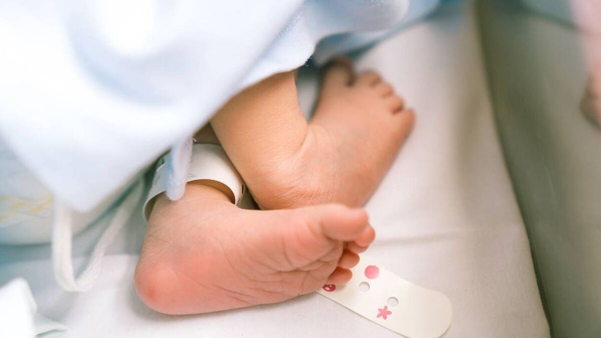 Congratulations: Mayo family welcomes new member