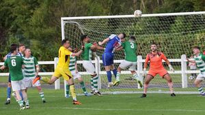 Cup finals an all Celtic and Ballina affair Cup finals an all Celtic and Ballina affair