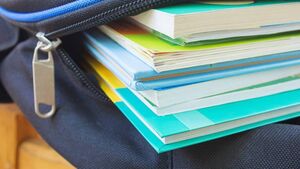 Mayo school opens its doors for first time