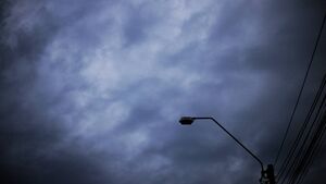 Councillors seek update on estate ‘left in darkness’