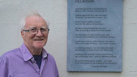 New unveiling to take place at Mayo park next weekend