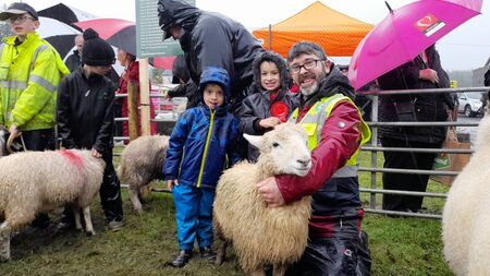 What price to put on homegrown wool?