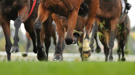 Ballinrobe Races: Tickets, gates, race times and important information