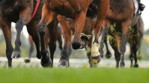 Ballinrobe Races: Tickets, gates, race times and important information