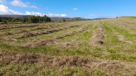 Any hope at all for an Indian Summer?