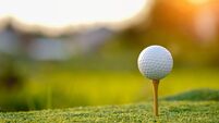West of Ireland golfers named in Golf Ireland panels