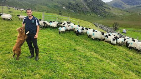 Different breed: James shows shear skill in a dying art