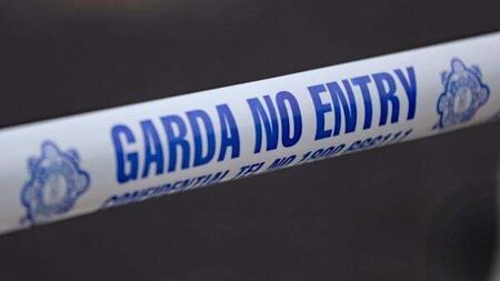 Gardaí investigating after criminal damage caused by fire and shots fired in Cork