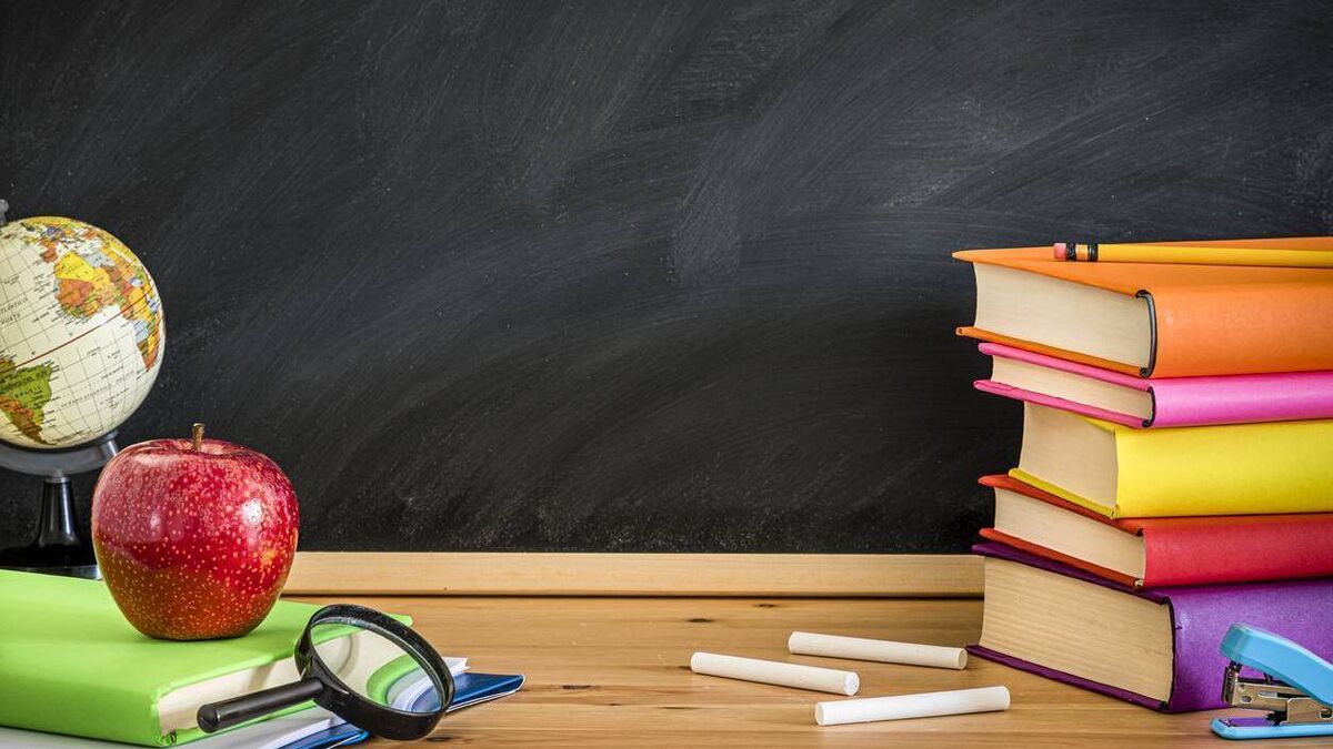 Mayo school make new appointment
