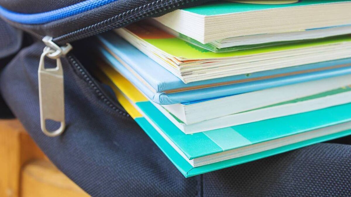 Two Mayo schools to introduce new subjects