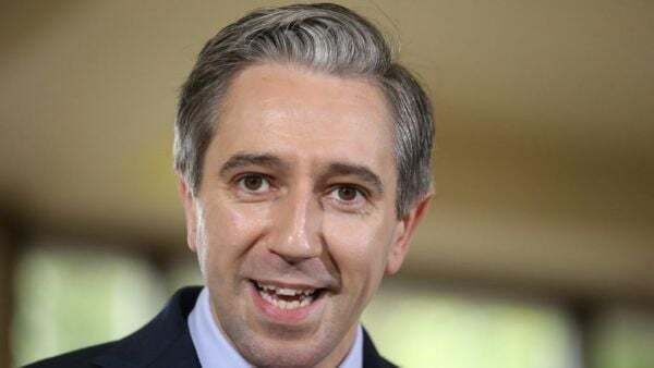 Poll shows rise in support for Fine Gael and Simon Harris