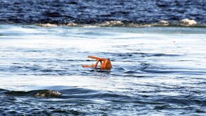 'Who's chair is that?' on site at the sinking of the Shingle