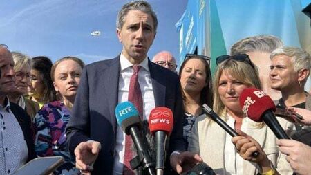 Charging asylum seekers who are working is ‘common sense’, Taoiseach says