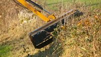 Councillor highlights road safety issues near local school