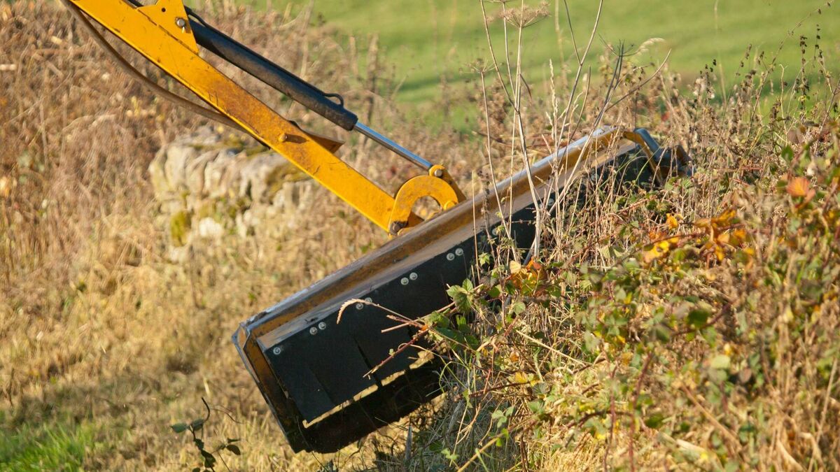 Criticism of hedge-cutting in Mayo